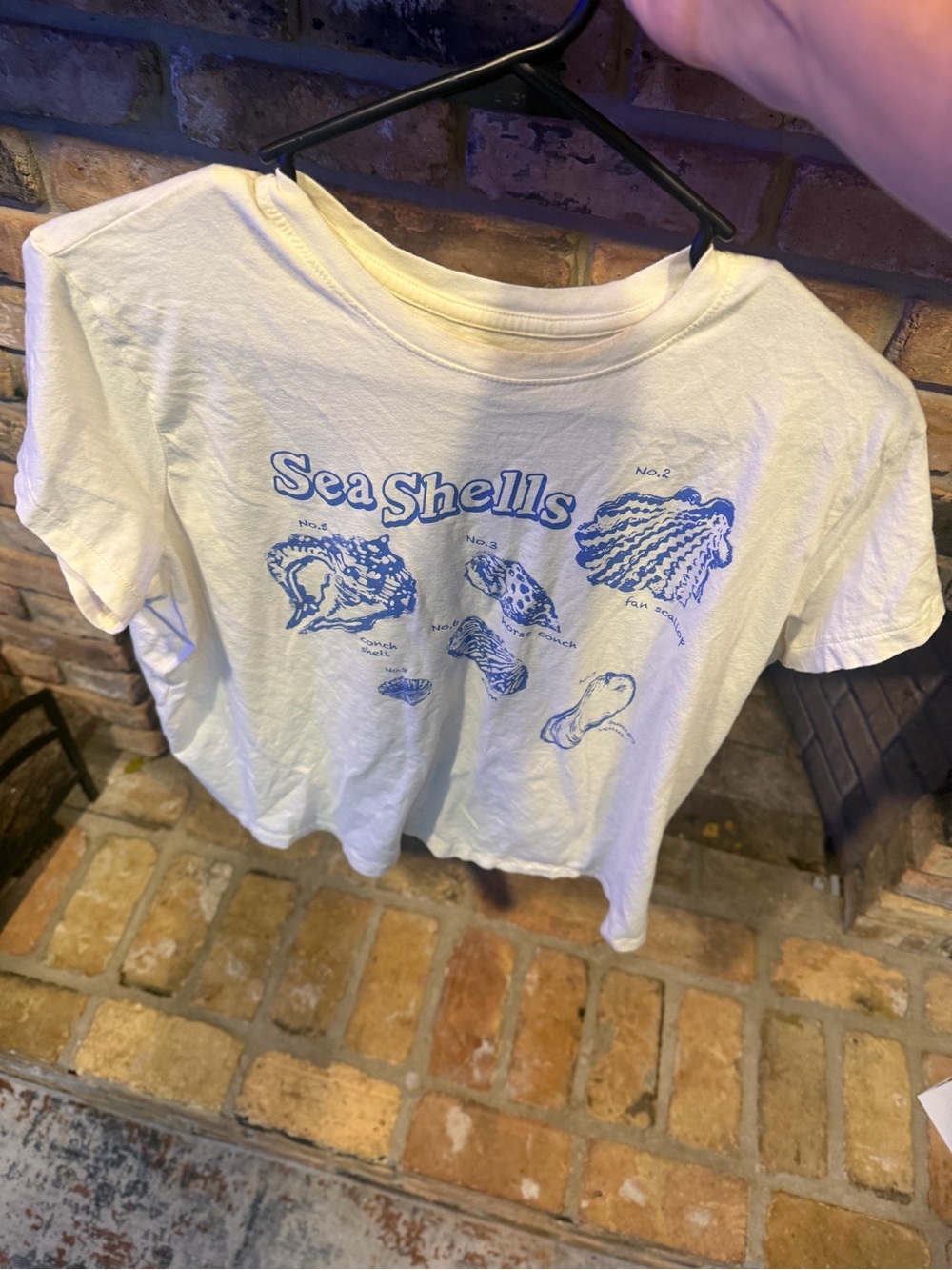 Universal Thread Sea Shells Graphic Pet T-Shirt - Cream with Blue Print Size XL